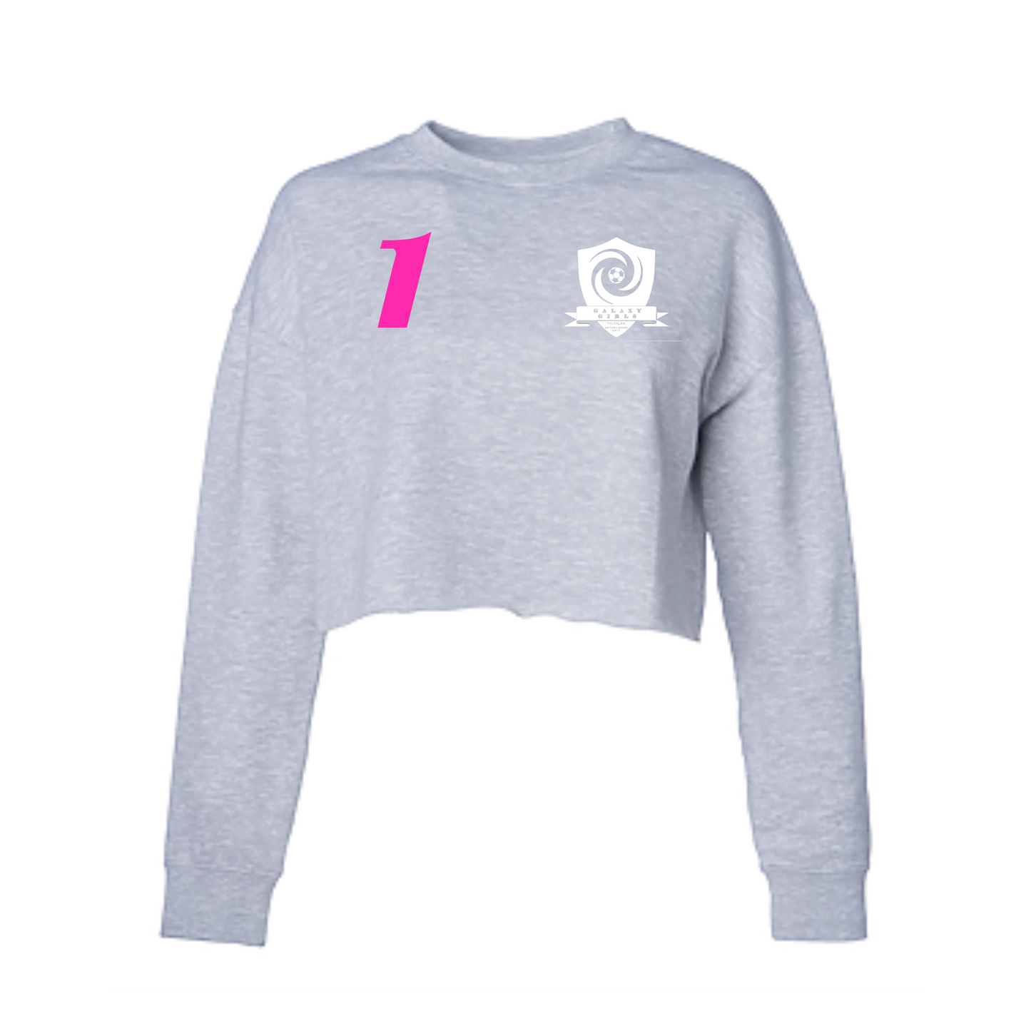 Cropped Gray Shield Sweatshirt