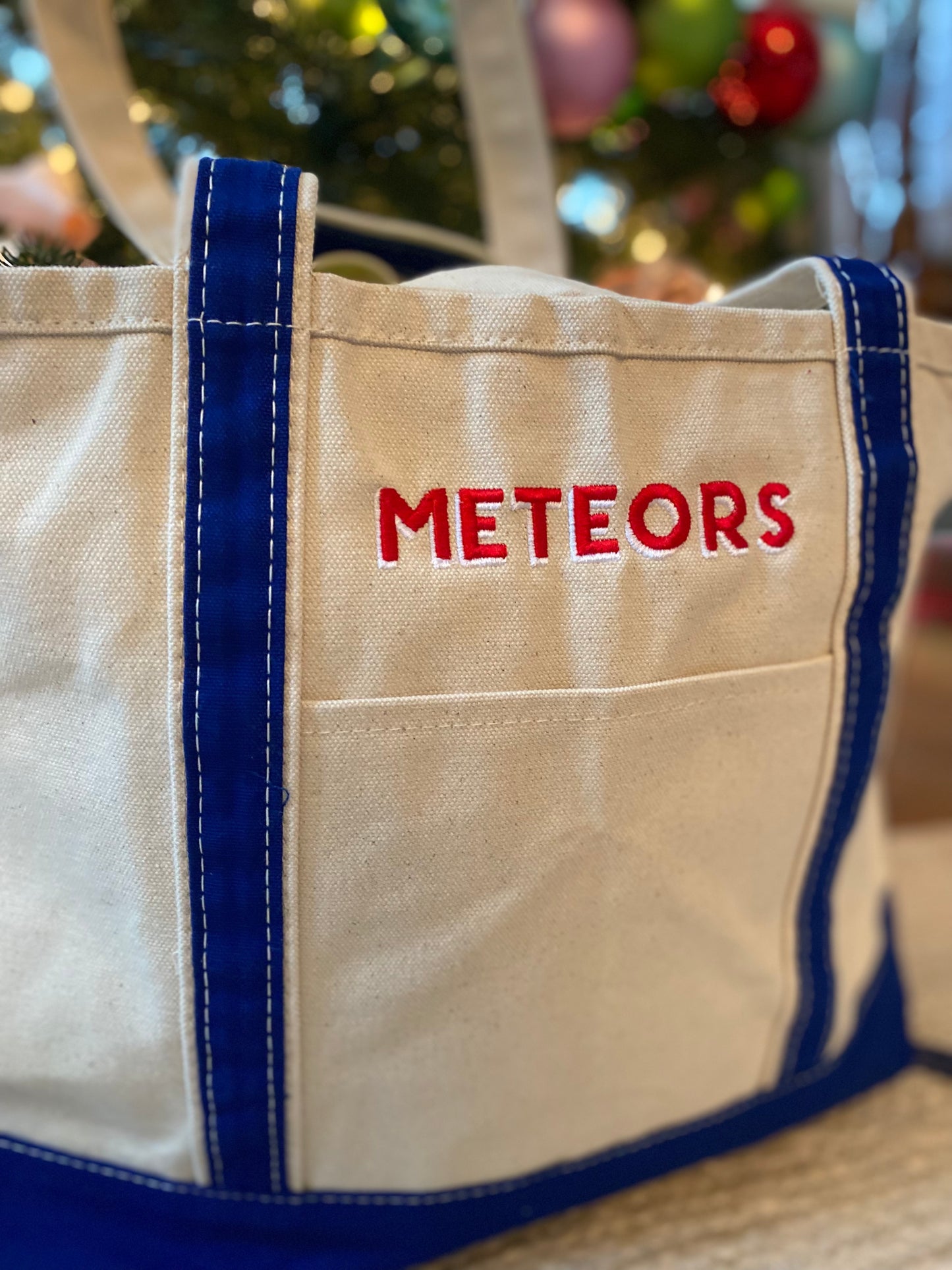 Tailgate Tote - Meteors